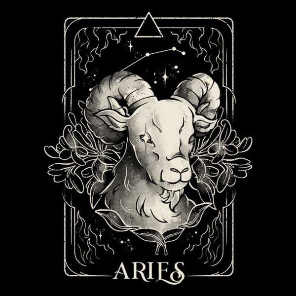 Aries (Edu.Ely) - Tank Top Fashion - Image 2